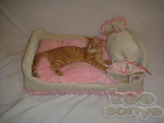 Лежак-кроватка для кошки/собаки 